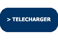 Bouton télécharger