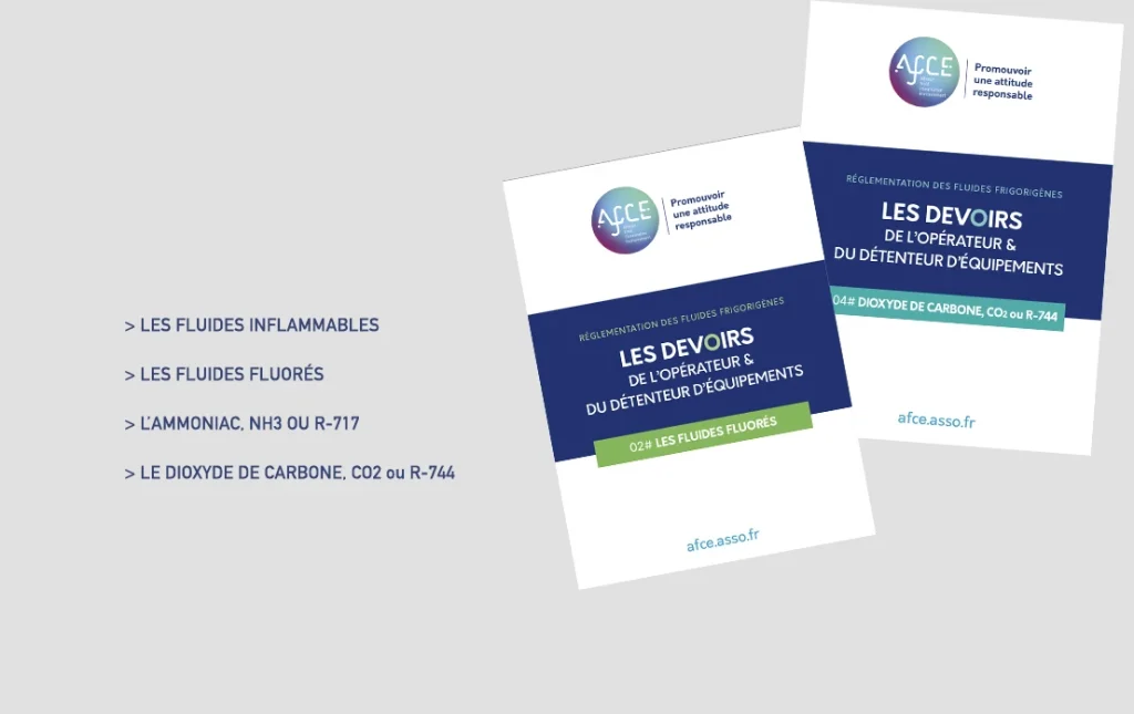 Expertise : Tout savoir pour une attitude responsable avec les guides AFCE
